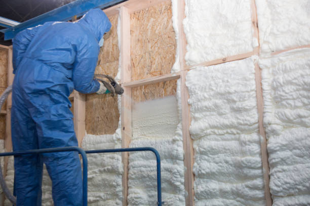 Types of Insulation We Offer in Whitmore Village, HI